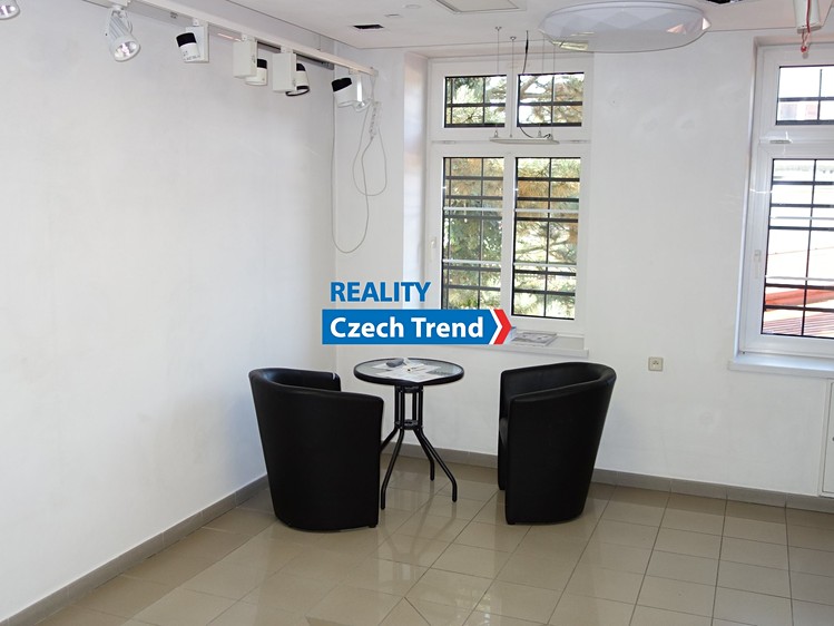 Pronájem komerčního prostoru, 480 m² (18 z 27)