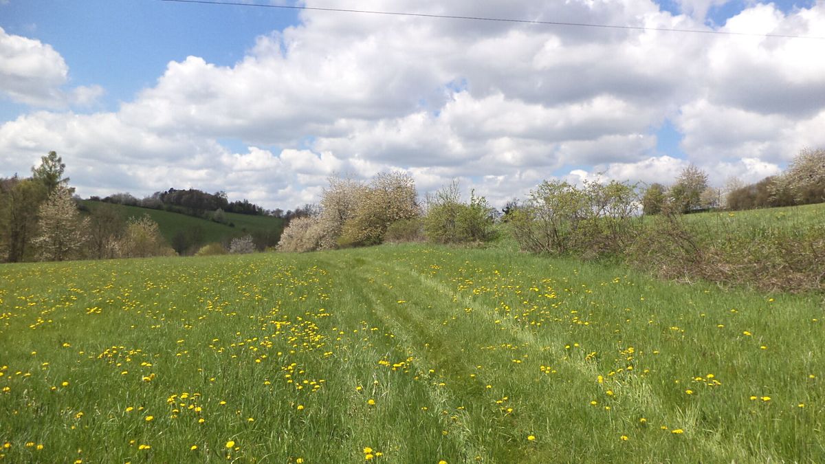Prodej pozemku 5357 m², Vítkov – fotka 1 z 3