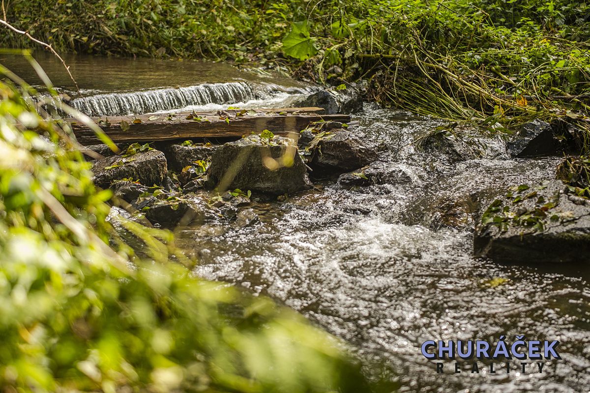 Prodej chaty 200 m², pozemek 16000 m² – fotografie 3
