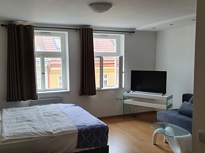 Pronájem bytu 1+kk 37 m² (Jednopodlažní)