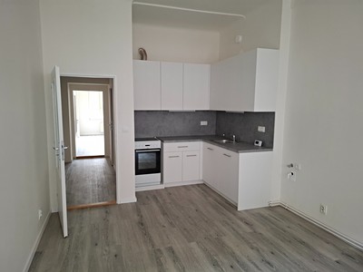 Pronájem bytu 1+1 49 m² (Jednopodlažní)