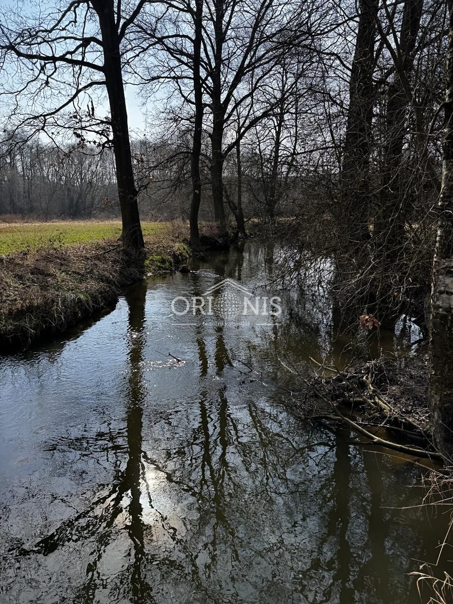 Prodej komerčního pozemku 16901 m² – fotografie 2