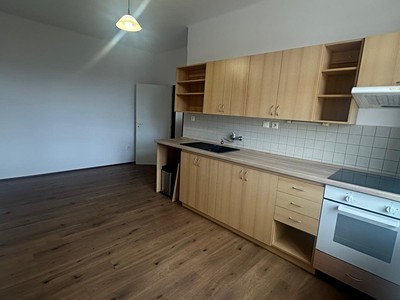 Pronájem bytu 1+1 52 m² (Jednopodlažní)