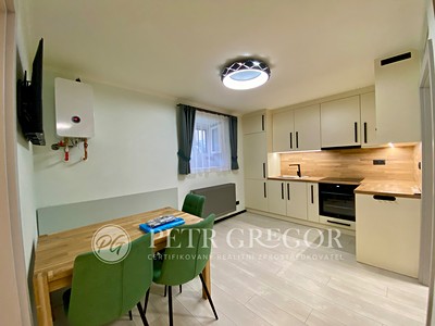 Pronájem bytu 3+kk 40 m² (Jednopodlažní)