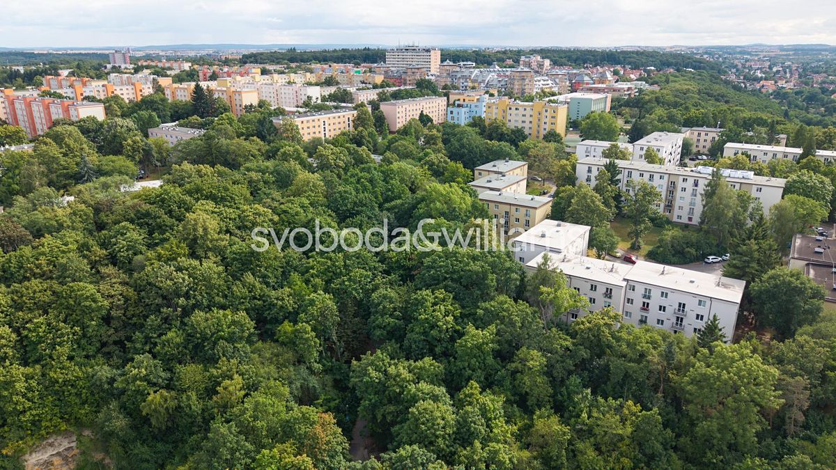 Prodej pozemku 12337 m² – fotografie 4