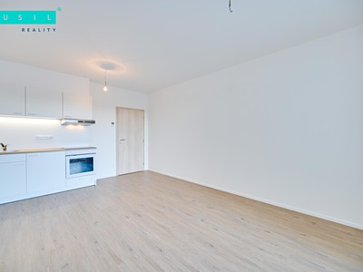 Pronájem bytu 1+kk 39 m²