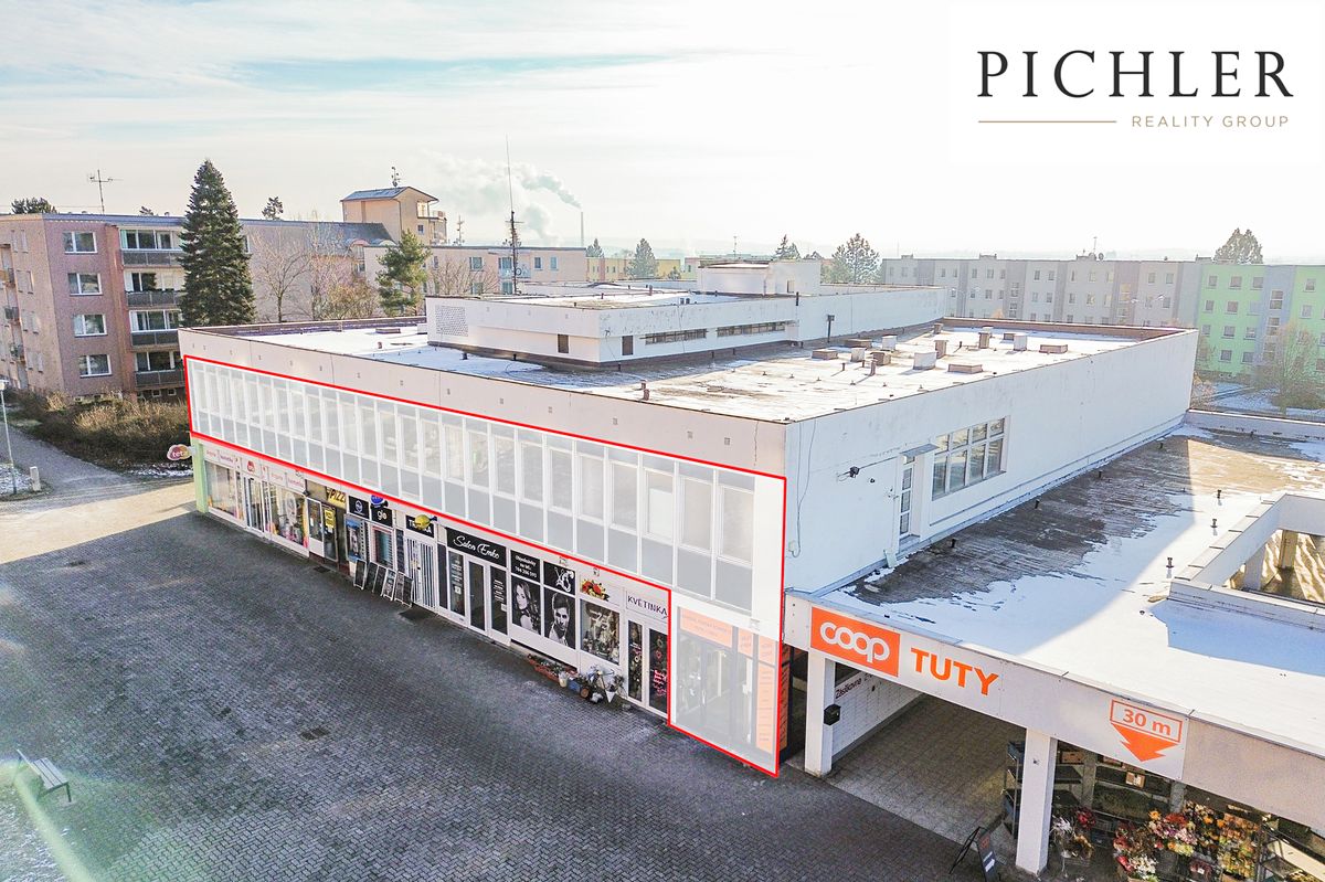 Pronájem obchodního prostoru 650 m²