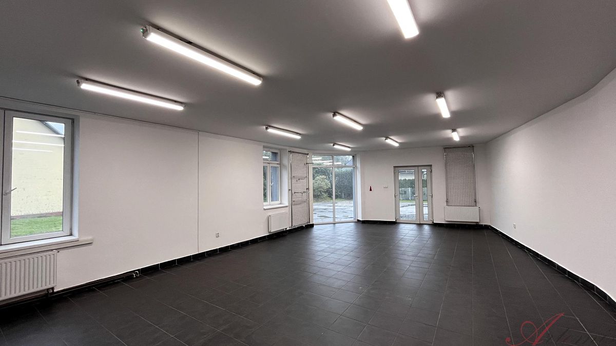 Pronájem obchodního prostoru 120 m²
