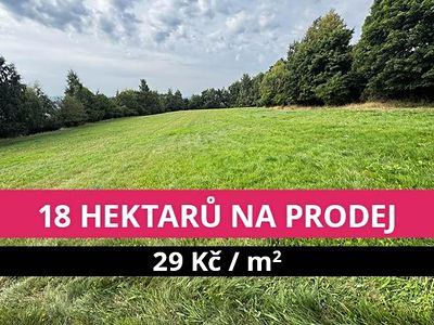 Prodej louky 176908 m²