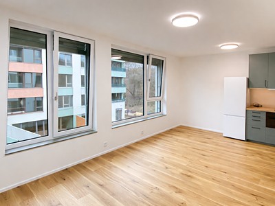 Pronájem bytu 1+kk 31 m² (Jednopodlažní)
