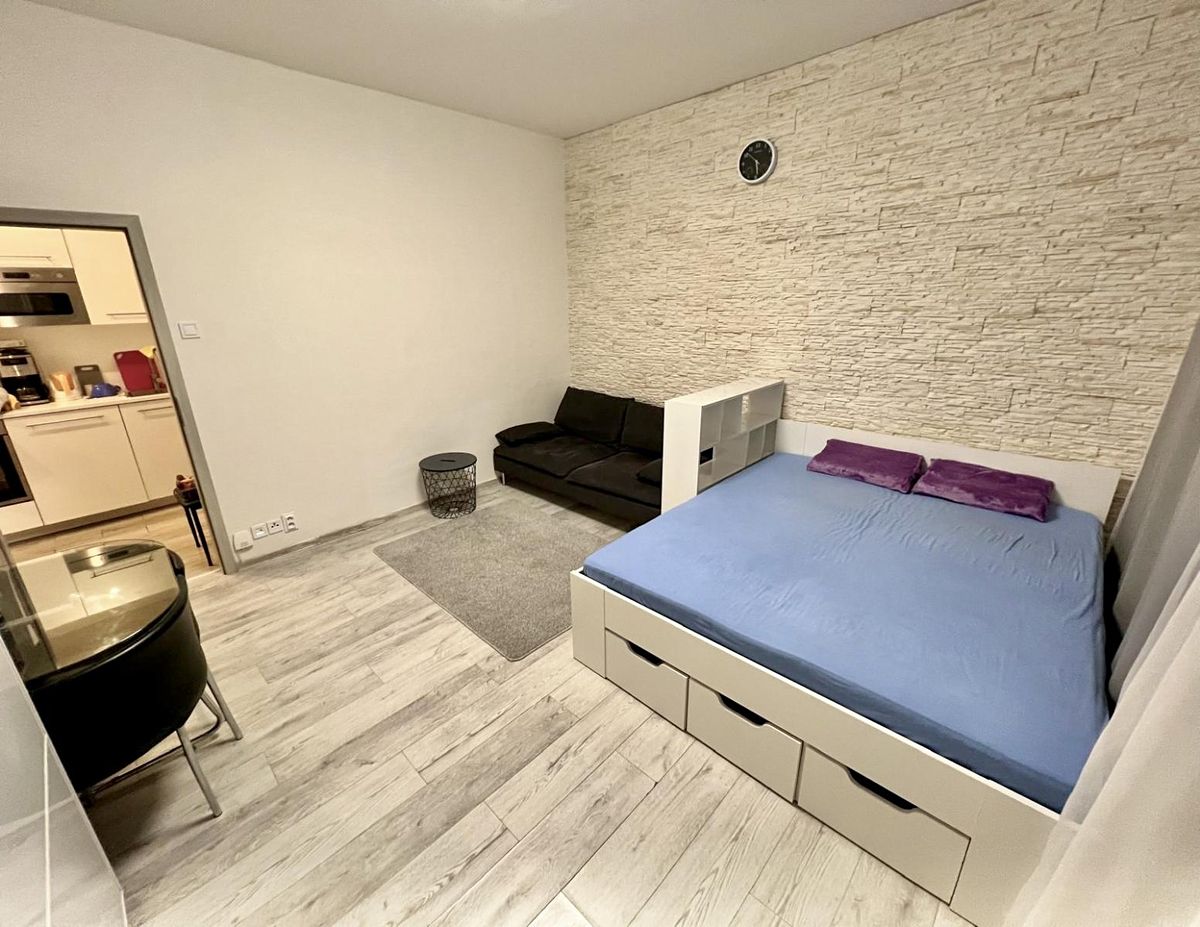 Pronájem bytu 1+kk 36 m² (Jednopodlažní)