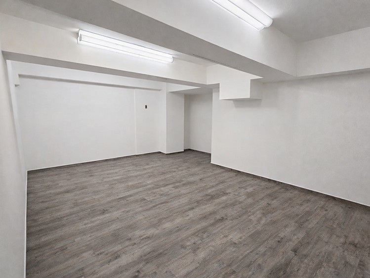 Pronájem komerčního prostoru, 215 m² (4 z 5)
