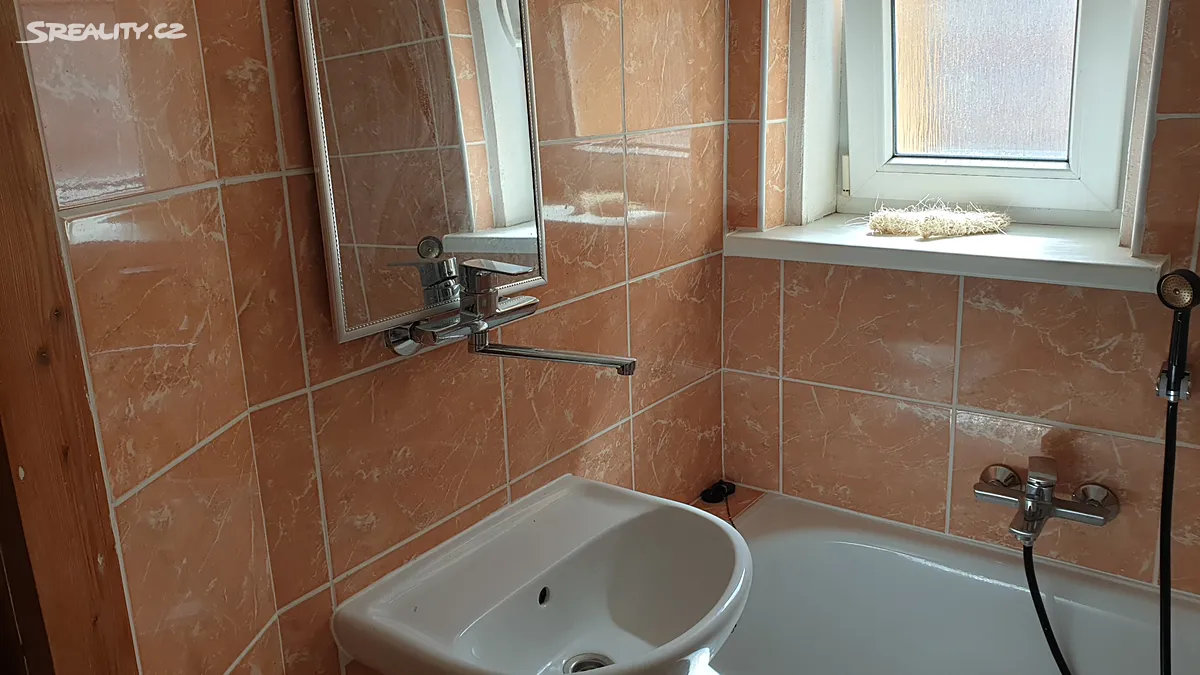 Pronájem bytu 1+1 45 m² – pohled 6