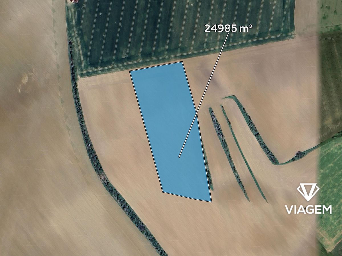 Prodej pole 24985 m² – fotografie 2