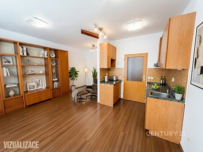 Pronájem bytu 1+kk 29 m²