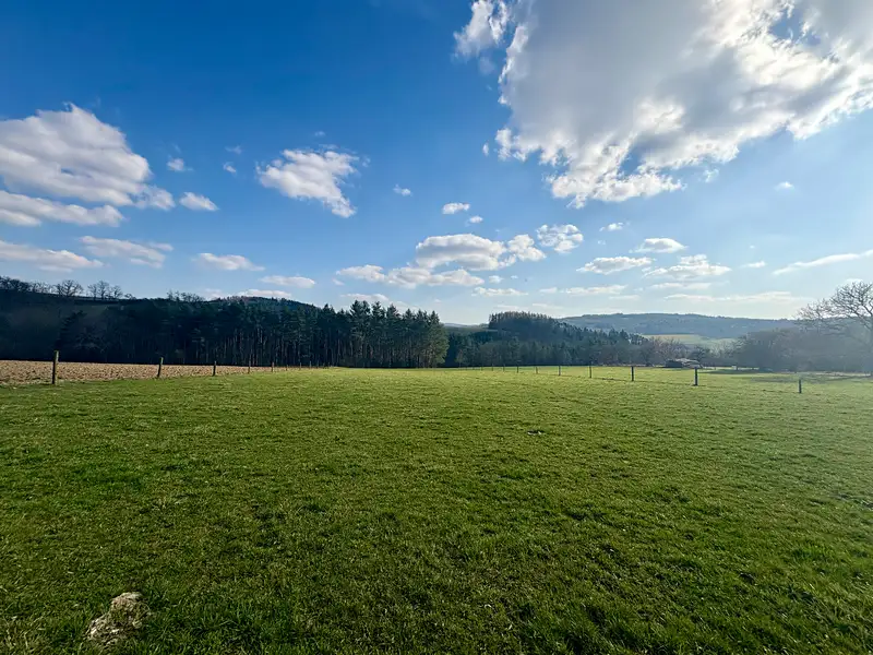 Prodej komerčního pozemku 9213 m², Vysoký Chlumec – náhled fotky 3