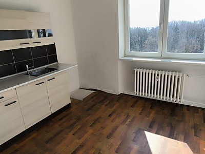 Pronájem bytu 1+1 40 m²