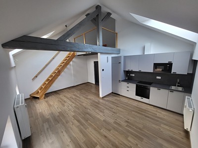 Pronájem bytu 1+kk 53 m² (Loft)
