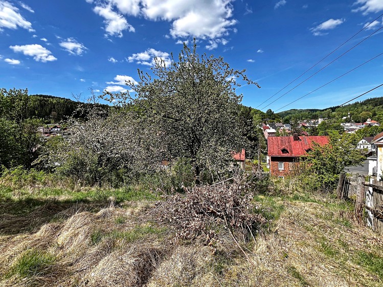 Grundstück zum Kauf, 1.039 m² (6 von 12)