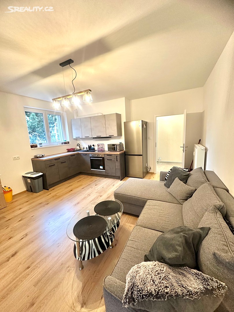 Pronájem bytu 2+kk 48 m² (Jednopodlažní), Plzeň