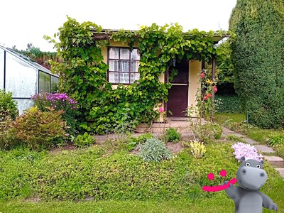 Prodej  chaty 13 m², pozemek 446 m²