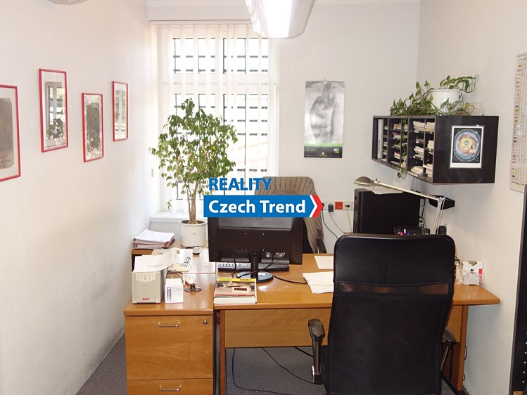 Pronájem komerčního prostoru, 480 m² (21 z 27)