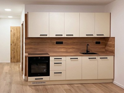 Prodej bytu 2+1 55 m² (Jednopodlažní)