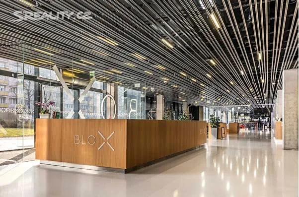 Pronájem kanceláře 520 m² – pohled 2