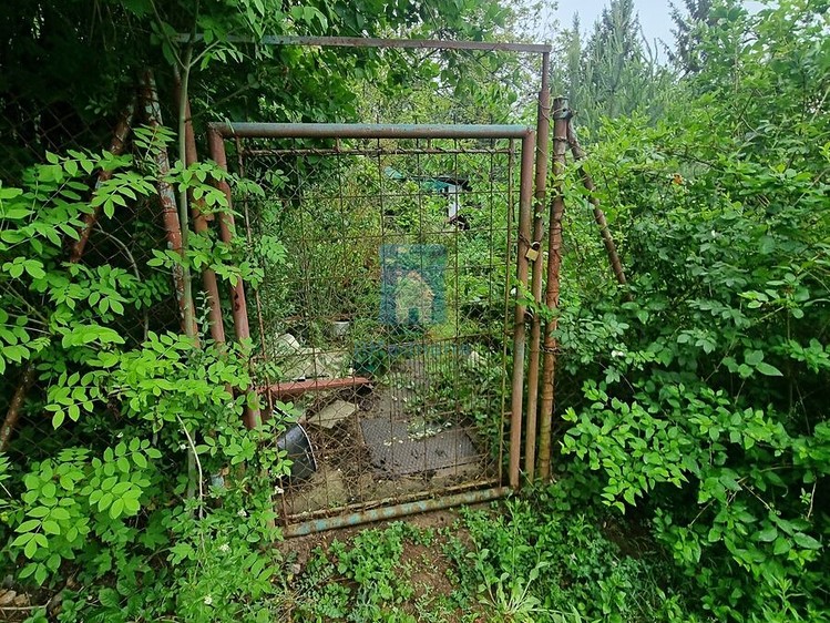 Grundstück zum Kauf, 527 m² (8 von 15)