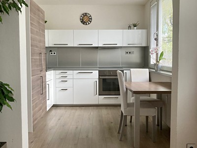 Pronájem bytu 1+1 36 m² (Jednopodlažní)