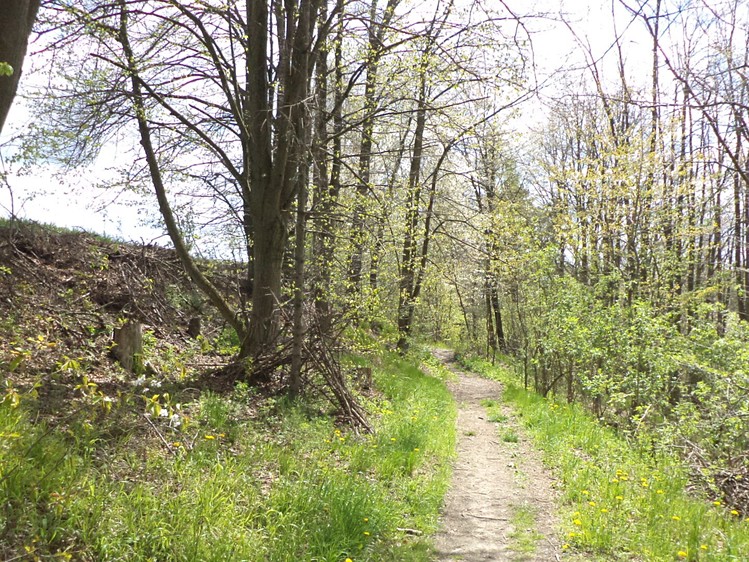 Grundstück zum Kauf, 5.357 m² (6 von 9)