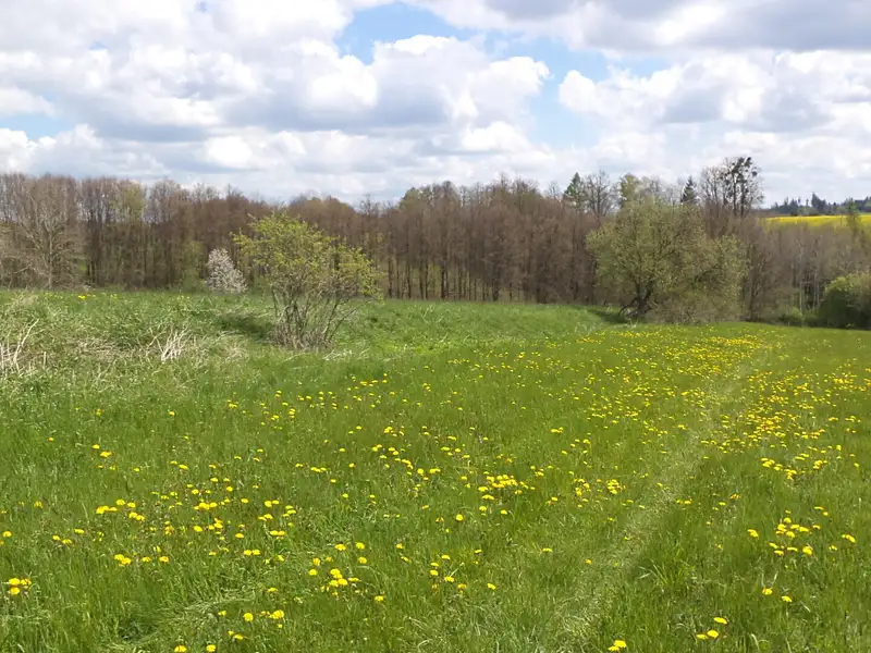 Prodej pozemku 5357 m², Vítkov – náhled fotky 2