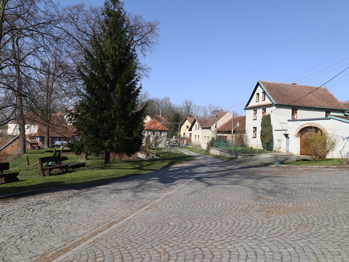 Prodej zemědělské usedlosti 450 m², pozemek 3402 m² – fotografie 2
