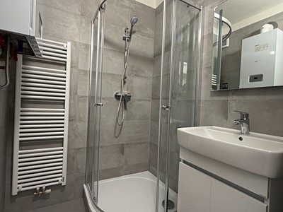 Pronájem bytu 1+1 36 m² (Jednopodlažní)