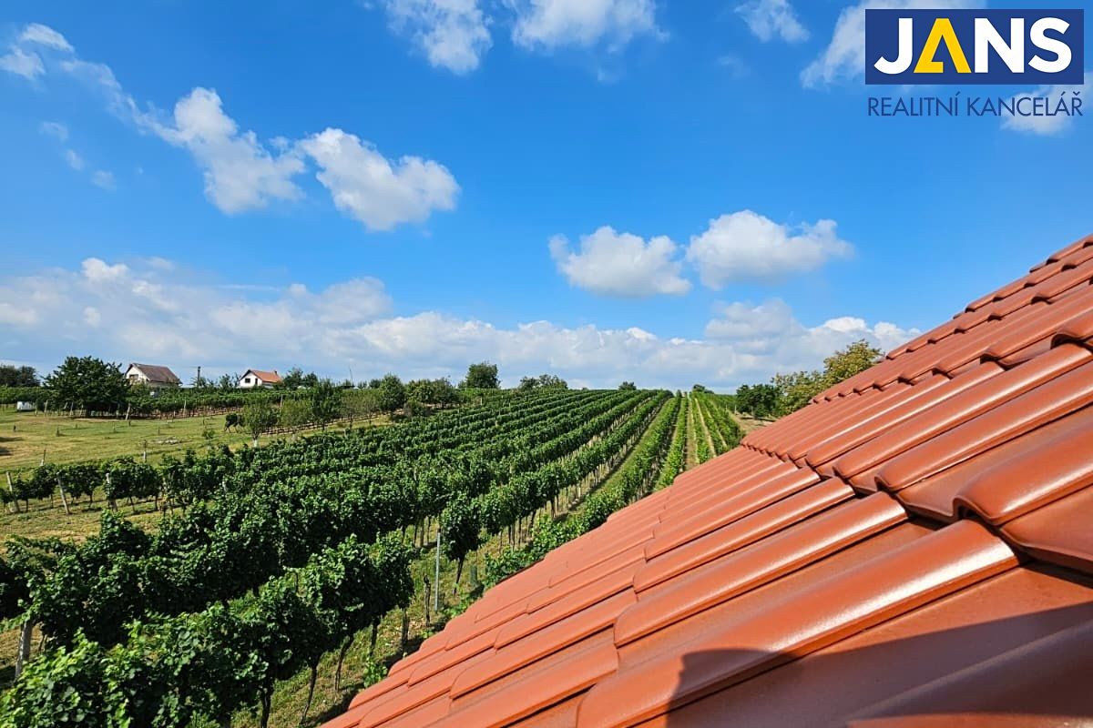 Prodej rodinného domu 100 m², pozemek 1987 m² – fotografie 3