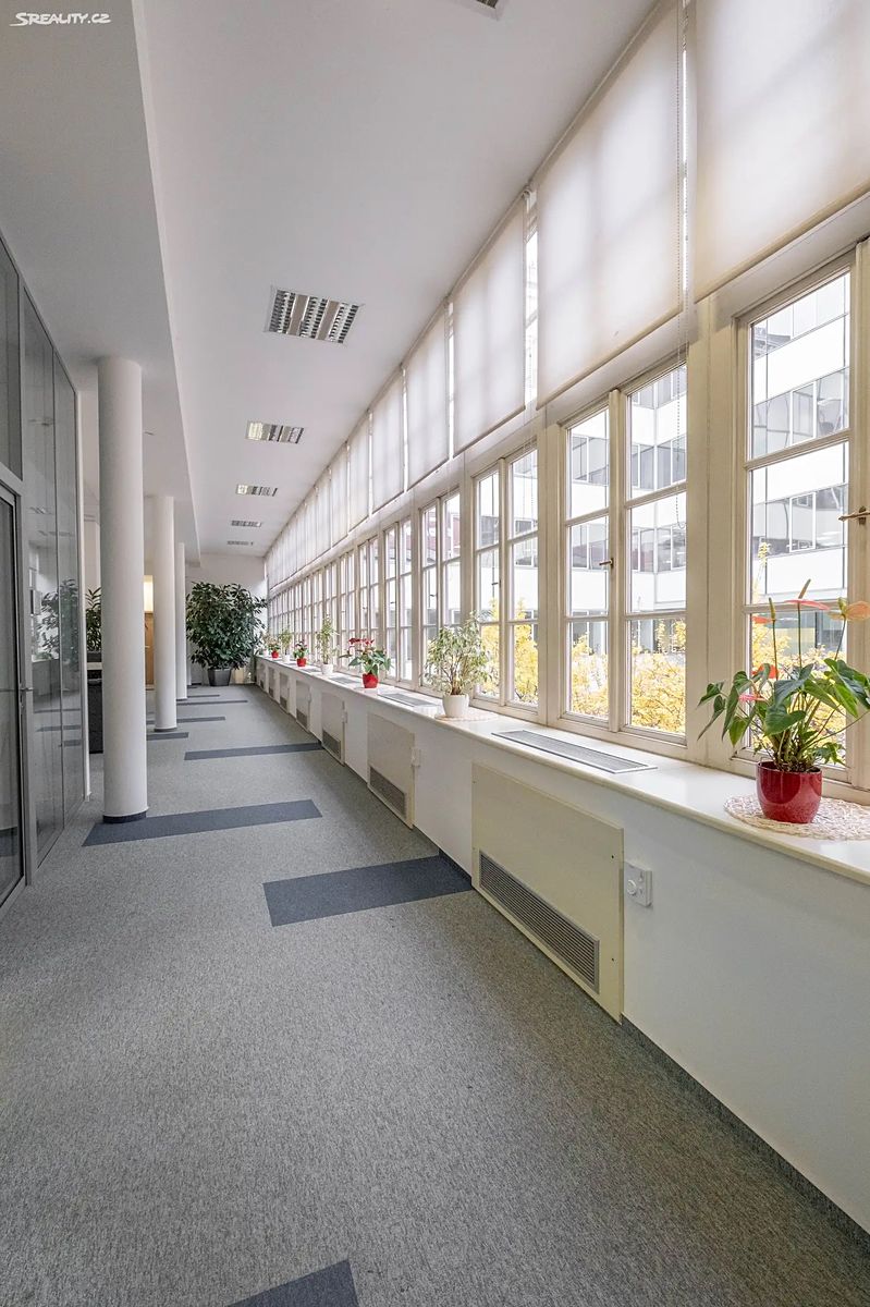 Pronájem kanceláře 300 m² – fotografie 4