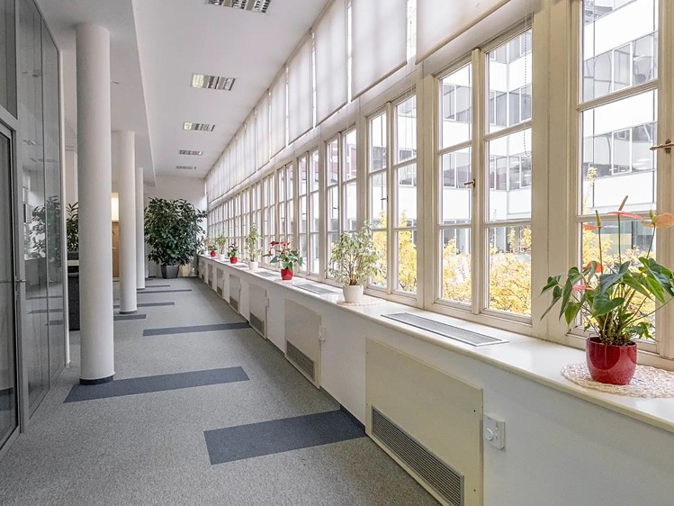 Комерційне приміщення в оренду, 300 м² (4 з 10)