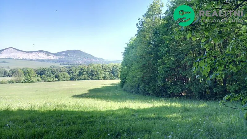Prodej lesa 15096 m²