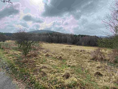 Prodej pole 8071 m²