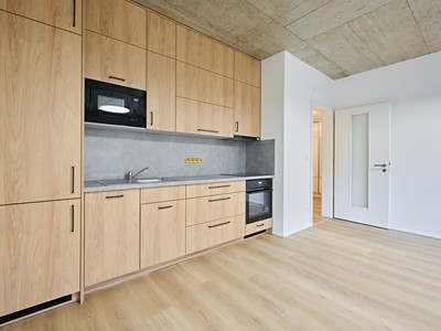 Pronájem bytu 2+kk 55 m² (Jednopodlažní)