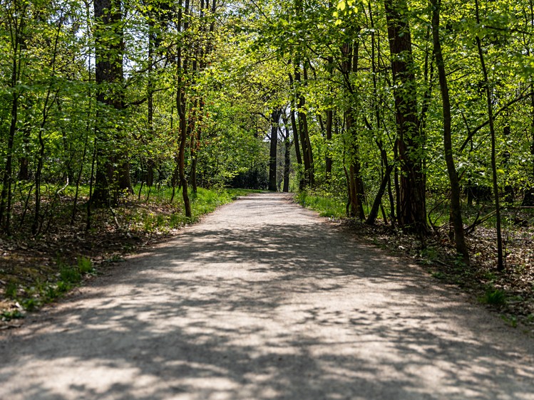 Gewerbefläche zur Miete, 33.000 m² (11 von 18)