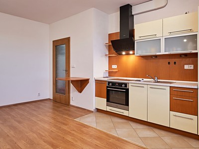 Pronájem bytu 1+kk 35 m²