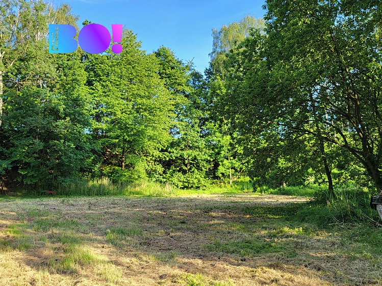 Prodej pozemku, 835 m² (4 z 7)