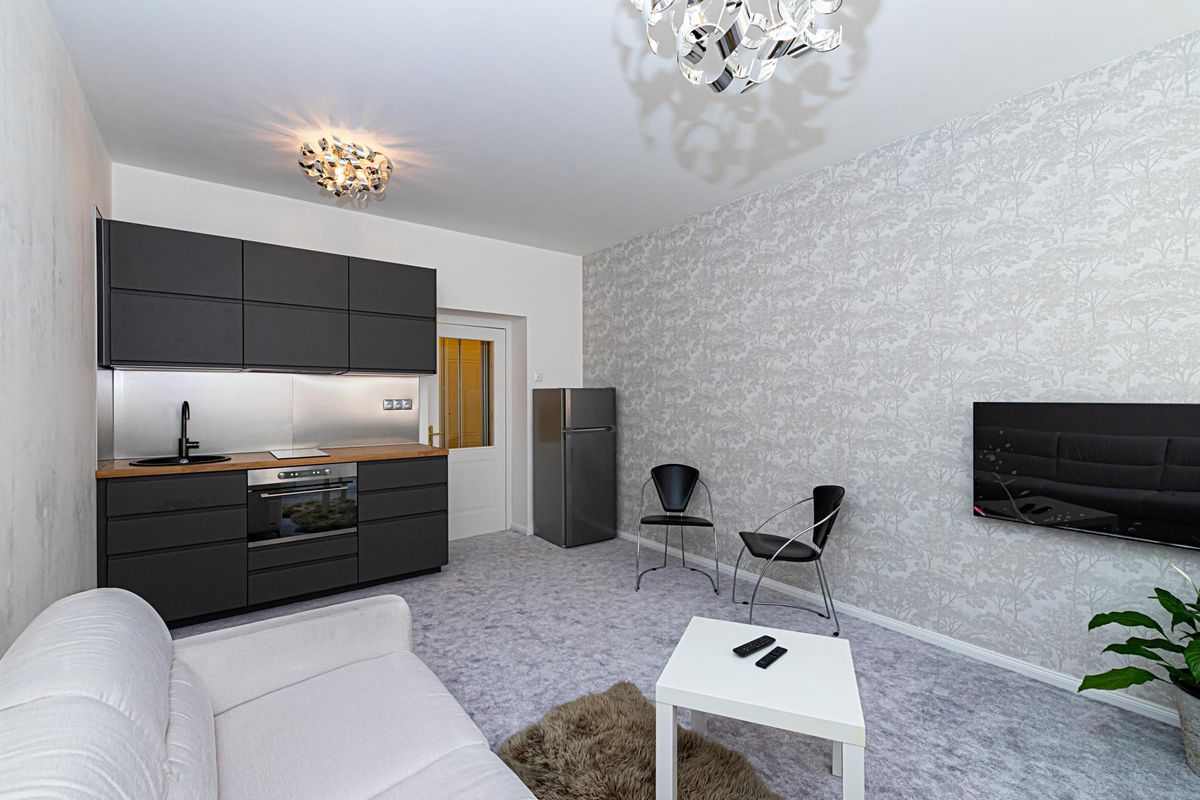 Pronájem bytu 1+kk 30 m² (Jednopodlažní)