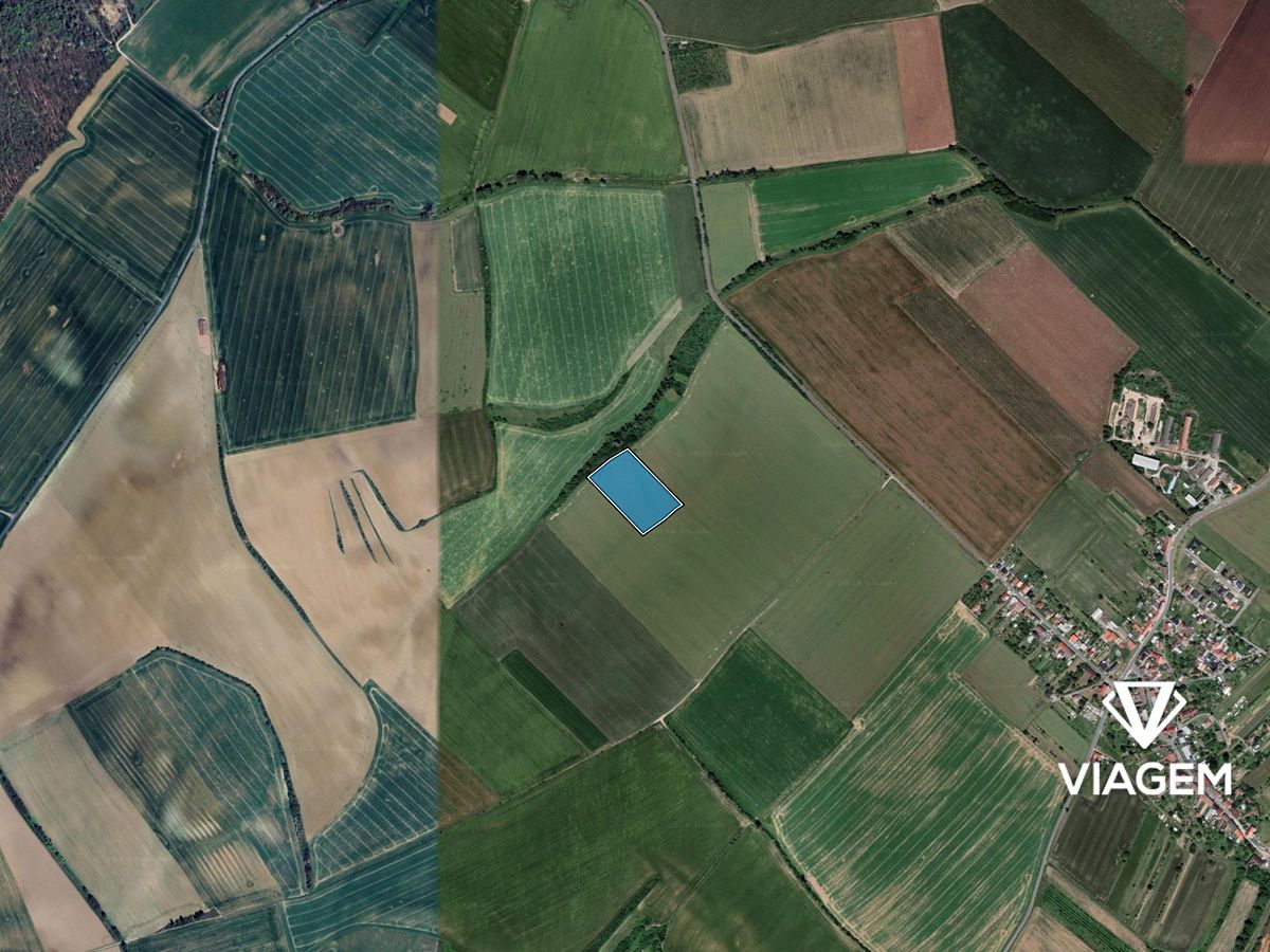 Prodej pole 18992 m² – fotografie 3