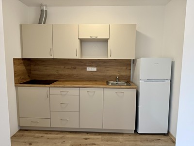Pronájem bytu 1+kk 41 m²