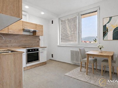 Pronájem bytu 1+1 35 m²