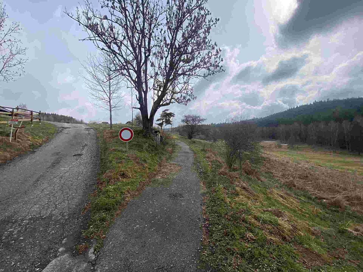 Prodej pole 8071 m² – fotografie 2