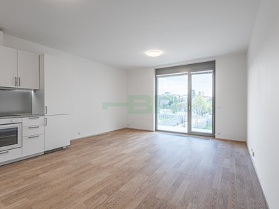 Pronájem bytu 1+kk 44 m²