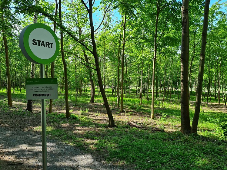 Pronájem komerčního prostoru, 500 m² (9 z 18)